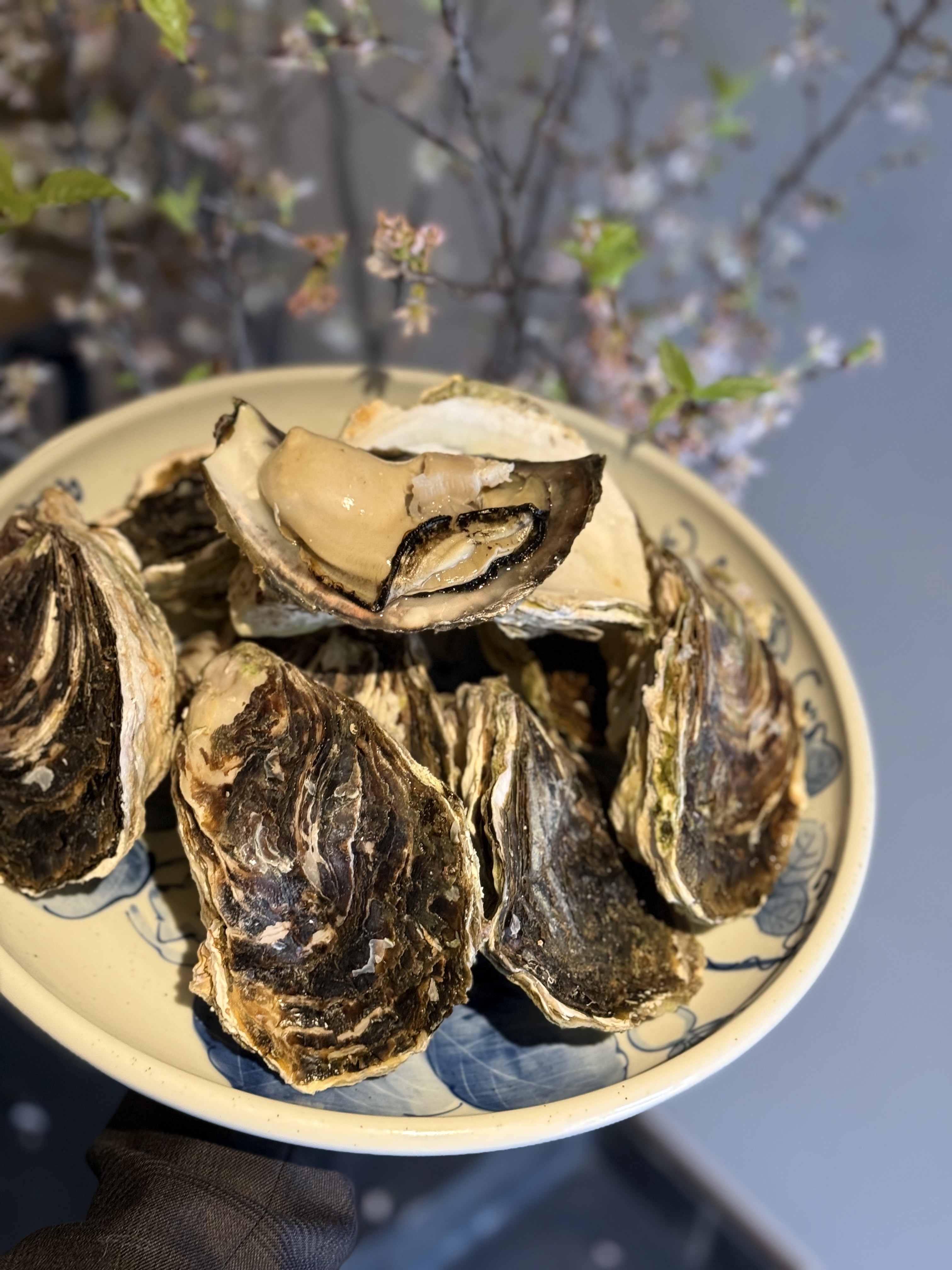 隠岐諸島　岩牡蠣